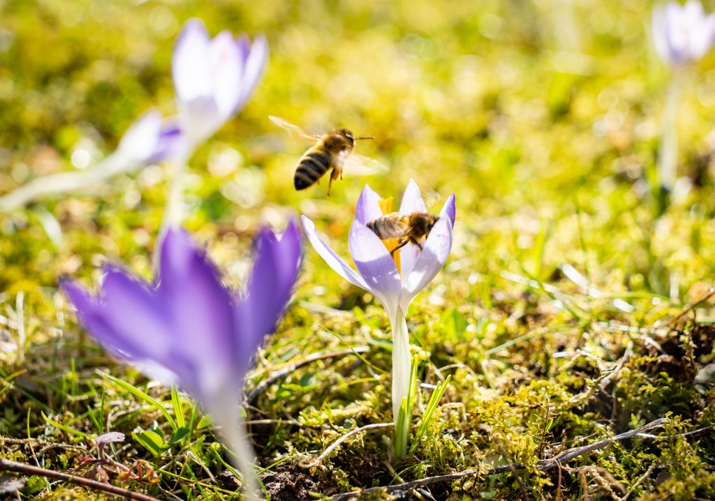 Was ist MBSR? Ein umfassender Leitfaden für Einsteiger